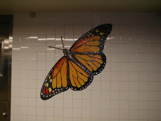 Butterfly on 81st Street IND uptown platform
