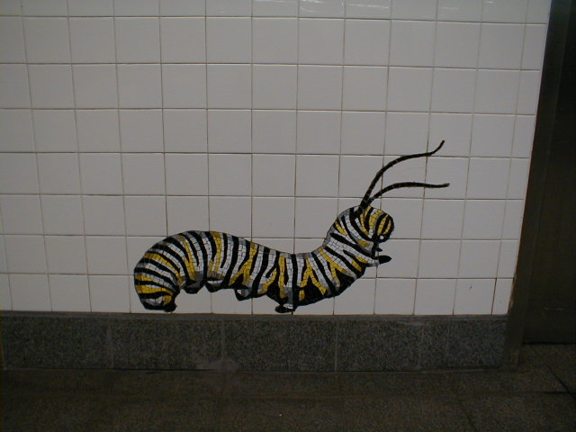 Caterpillar on 81st Street IND uptown platform