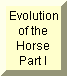 Evolution of the Horse - Part I