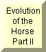 Evolution of the Horse - Part II