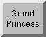 Grand Princess Cam